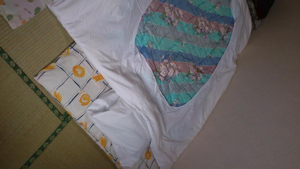 New Hakuginso Hotel Furano Room photo